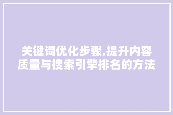 关键词优化步骤,提升内容质量与搜索引擎排名的方法 计算机