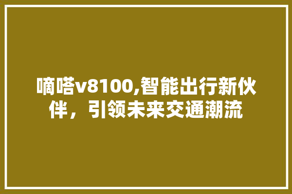 嘀嗒v8100,智能出行新伙伴，引领未来交通潮流