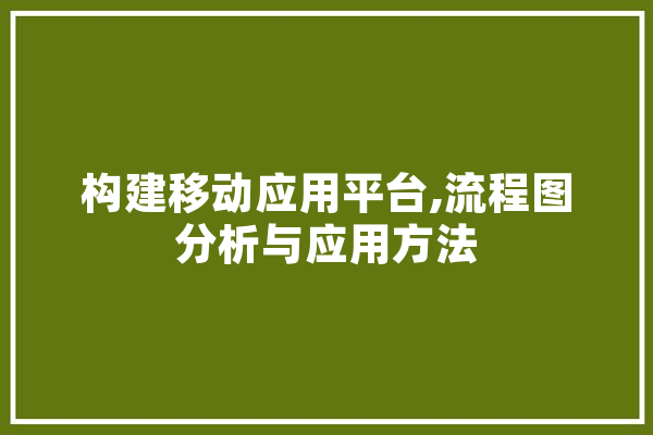 构建移动应用平台,流程图分析与应用方法 绘影字幕