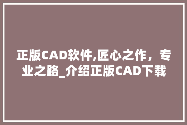 正版CAD软件,匠心之作，专业之路_介绍正版CAD下载的优势与必要性 智能助手
