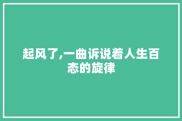 起风了,一曲诉说着人生百态的旋律