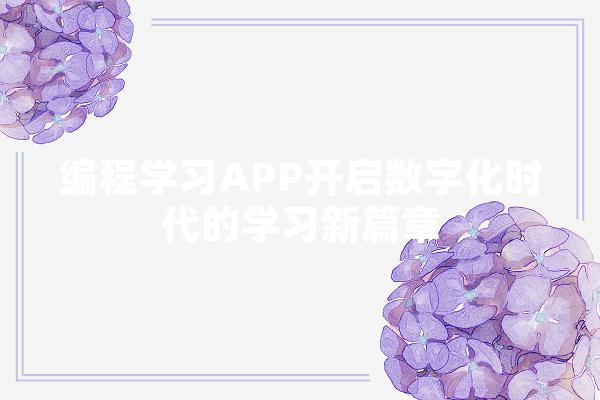 编程学习APP开启数字化时代的学习新篇章
