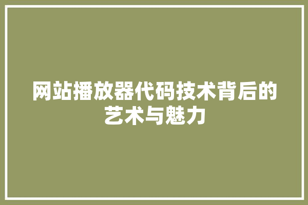 网站播放器代码技术背后的艺术与魅力