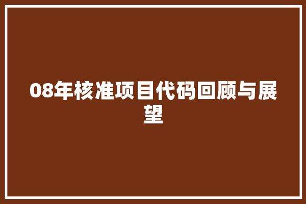 08年核准项目代码回顾与展望