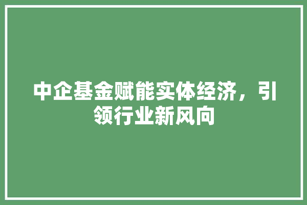 中企基金赋能实体经济，引领行业新风向