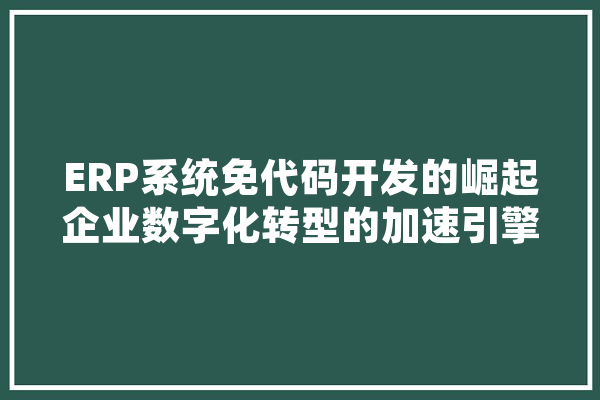 ERP系统免代码开发的崛起企业数字化转型的加速引擎