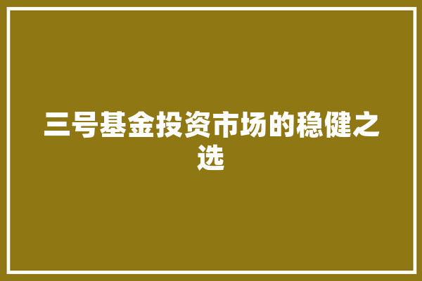 三号基金投资市场的稳健之选