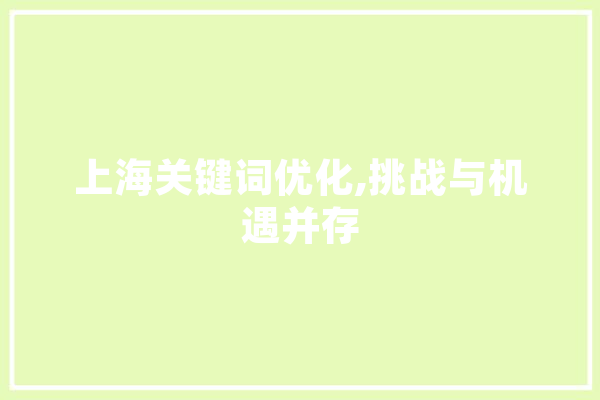 上海关键词优化,挑战与机遇并存