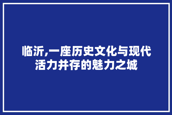 临沂,一座历史文化与现代活力并存的魅力之城
