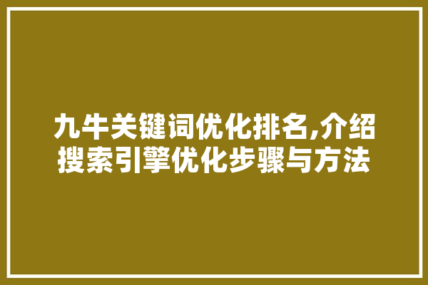 九牛关键词优化排名,介绍搜索引擎优化步骤与方法 绘影字幕