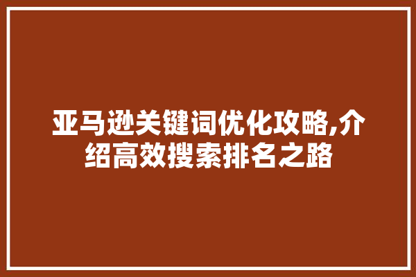 亚马逊关键词优化攻略,介绍高效搜索排名之路