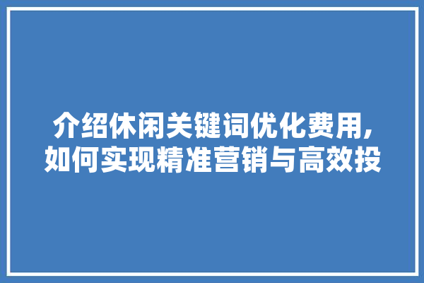 介绍休闲关键词优化费用,如何实现精准营销与高效投入