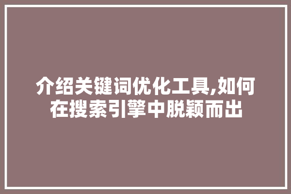 介绍关键词优化工具,如何在搜索引擎中脱颖而出