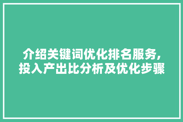 介绍关键词优化排名服务,投入产出比分析及优化步骤