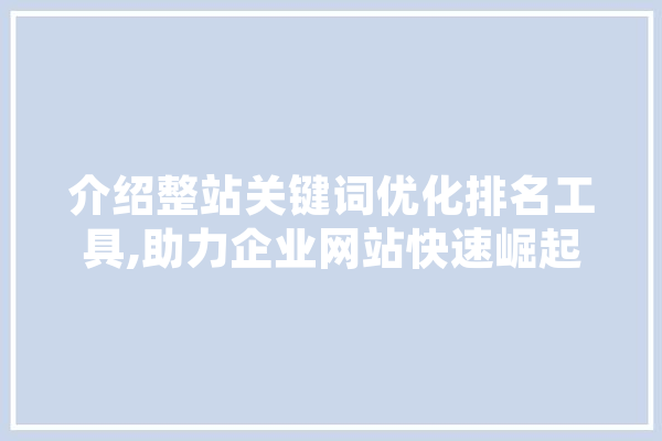 介绍整站关键词优化排名工具,助力企业网站快速崛起的神秘力量