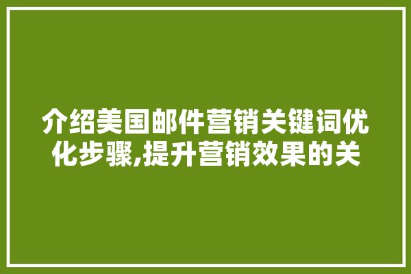 介绍美国邮件营销关键词优化步骤,提升营销效果的关键
