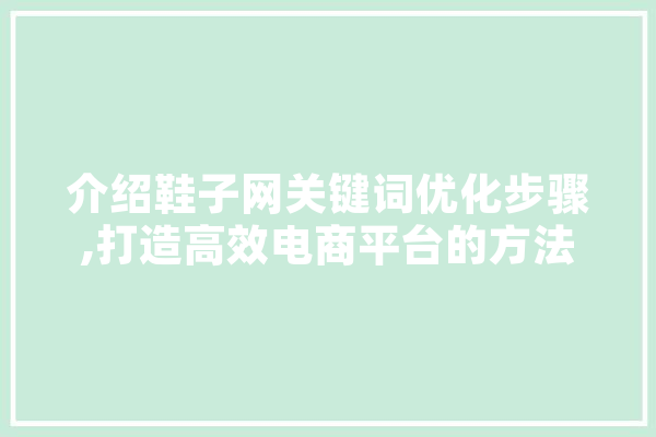 介绍鞋子网关键词优化步骤,打造高效电商平台的方法 AI快讯