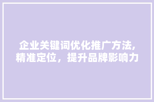 企业关键词优化推广方法,精准定位，提升品牌影响力 文字写作