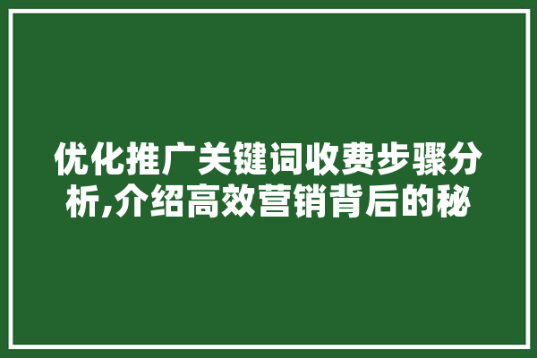 优化推广关键词收费步骤分析,介绍高效营销背后的秘密 AI简讯