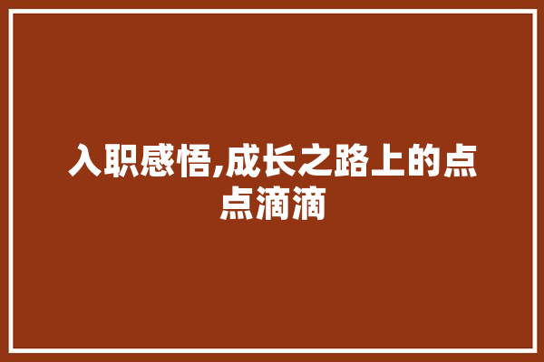 入职感悟,成长之路上的点点滴滴
