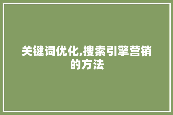 关键词优化,搜索引擎营销的方法