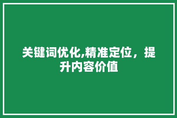 关键词优化,精准定位，提升内容价值