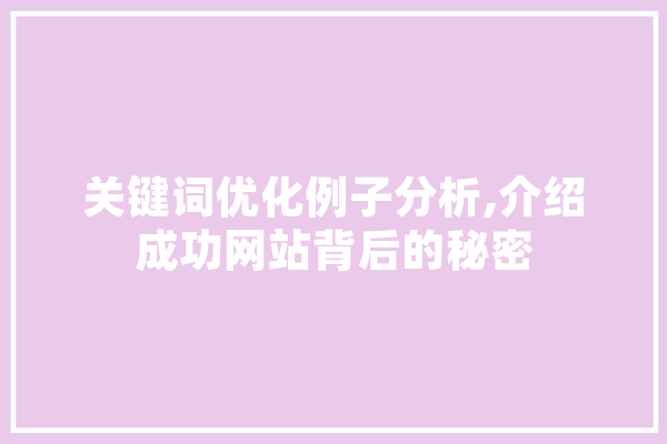 关键词优化例子分析,介绍成功网站背后的秘密