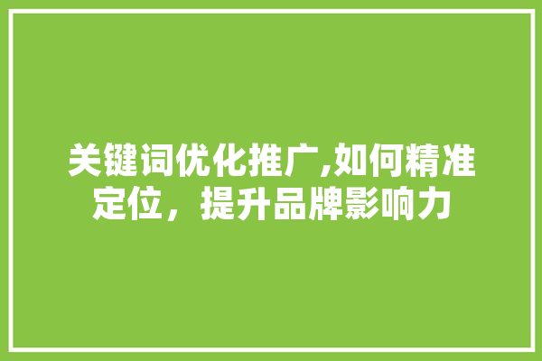 关键词优化推广,如何精准定位，提升品牌影响力 云服务
