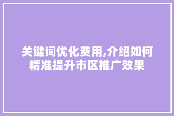 关键词优化费用,介绍如何精准提升市区推广效果