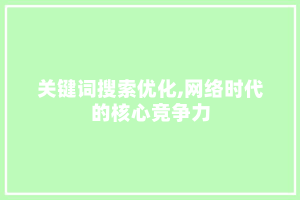 关键词搜索优化,网络时代的核心竞争力