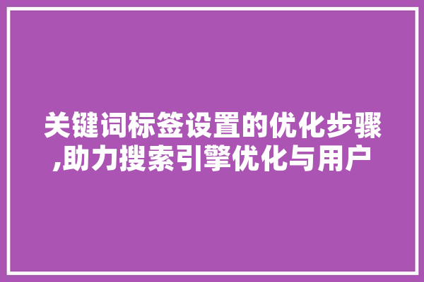 关键词标签设置的优化步骤,助力搜索引擎优化与用户体验提升