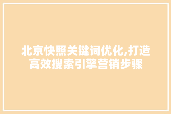 北京快照关键词优化,打造高效搜索引擎营销步骤