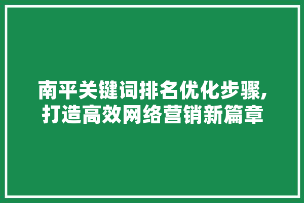 南平关键词排名优化步骤,打造高效网络营销新篇章