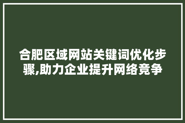 合肥区域网站关键词优化步骤,助力企业提升网络竞争力 计算机