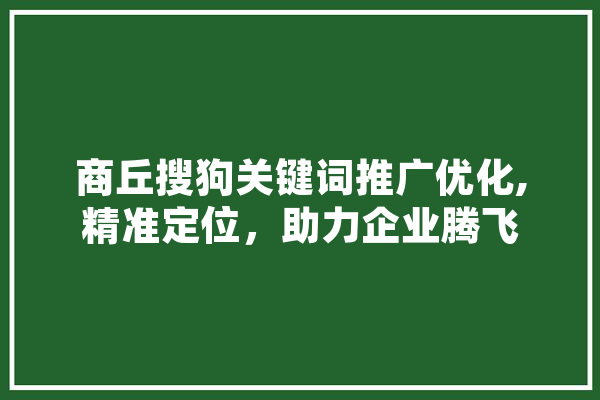 商丘搜狗关键词推广优化,精准定位，助力企业腾飞