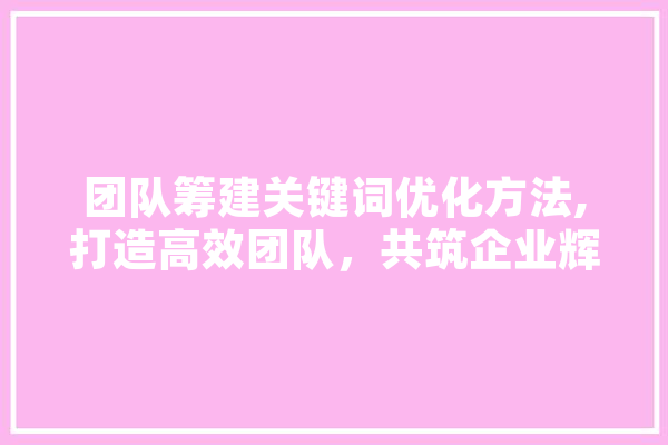团队筹建关键词优化方法,打造高效团队，共筑企业辉煌