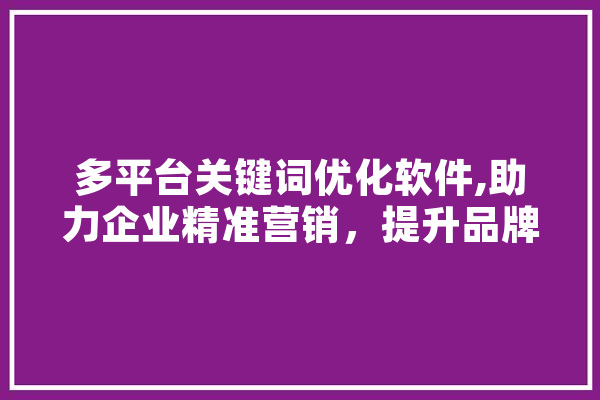 多平台关键词优化软件,助力企业精准营销，提升品牌影响力