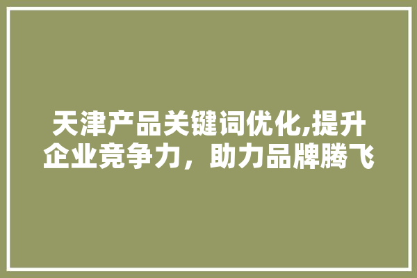 天津产品关键词优化,提升企业竞争力，助力品牌腾飞
