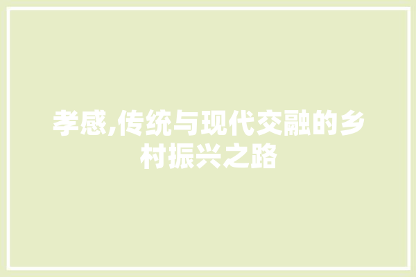 孝感,传统与现代交融的乡村振兴之路