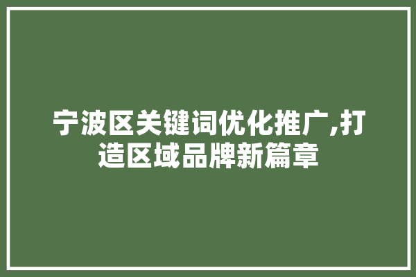 宁波区关键词优化推广,打造区域品牌新篇章