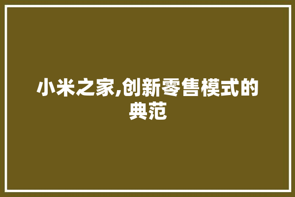 小米之家,创新零售模式的典范