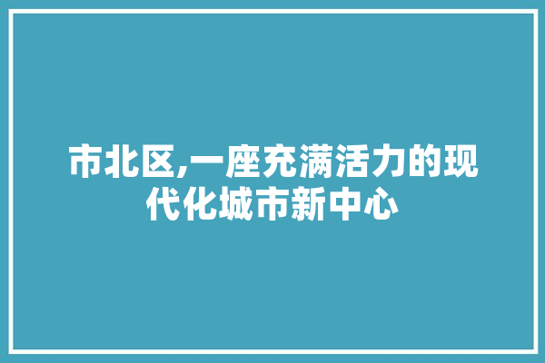 市北区,一座充满活力的现代化城市新中心