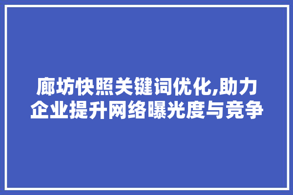 廊坊快照关键词优化,助力企业提升网络曝光度与竞争力