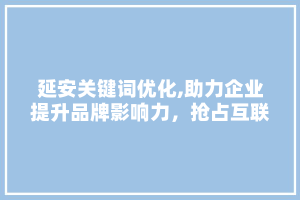 延安关键词优化,助力企业提升品牌影响力，抢占互联网市场先机
