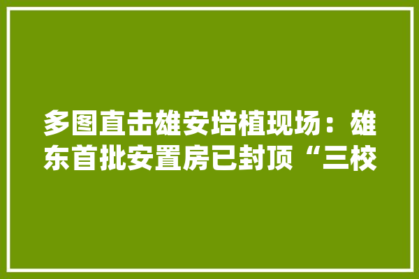 多图直击雄安培植现场：雄东首批安置房已封顶“三校”明年可开学_新区_北京