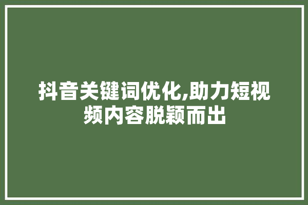 抖音关键词优化,助力短视频内容脱颖而出