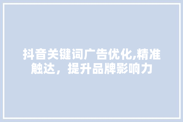 抖音关键词广告优化,精准触达，提升品牌影响力