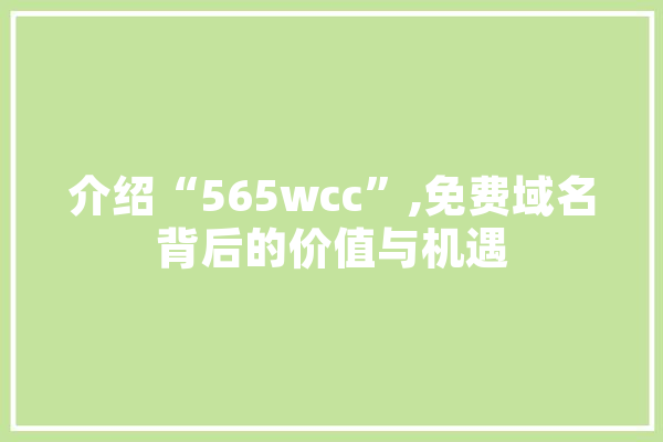介绍“565wcc”,免费域名背后的价值与机遇