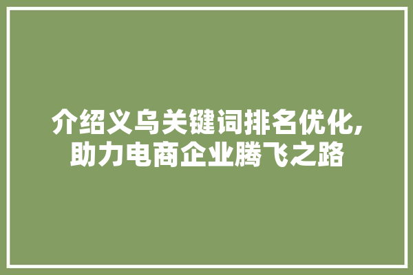 介绍义乌关键词排名优化,助力电商企业腾飞之路