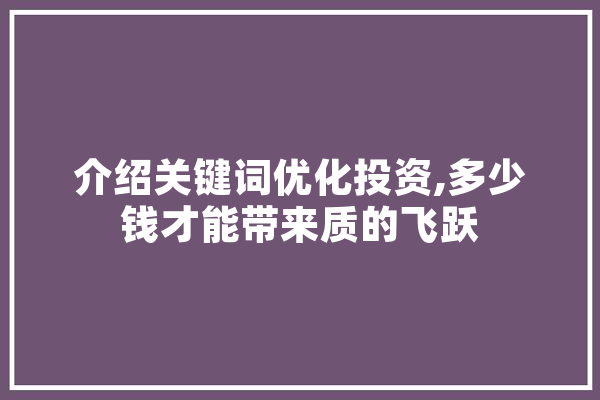 介绍关键词优化投资,多少钱才能带来质的飞跃